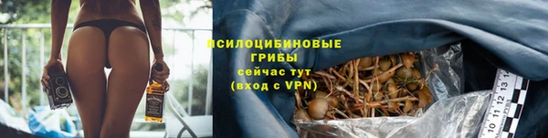 сатива Магас