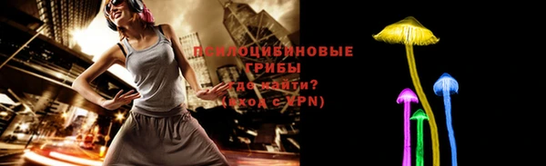 сатива Магас