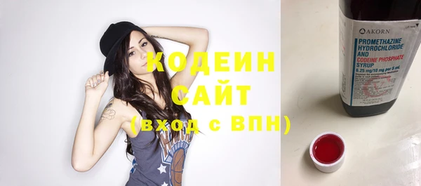 сатива Магас