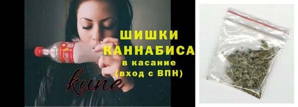 сатива Магас