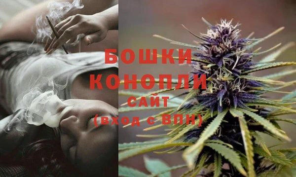 Альфа ПВП Магадан