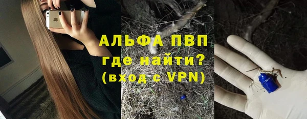 сатива Магас