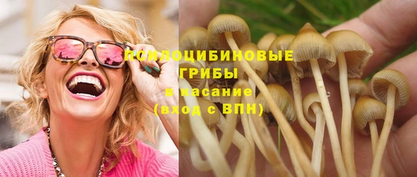 сатива Магас